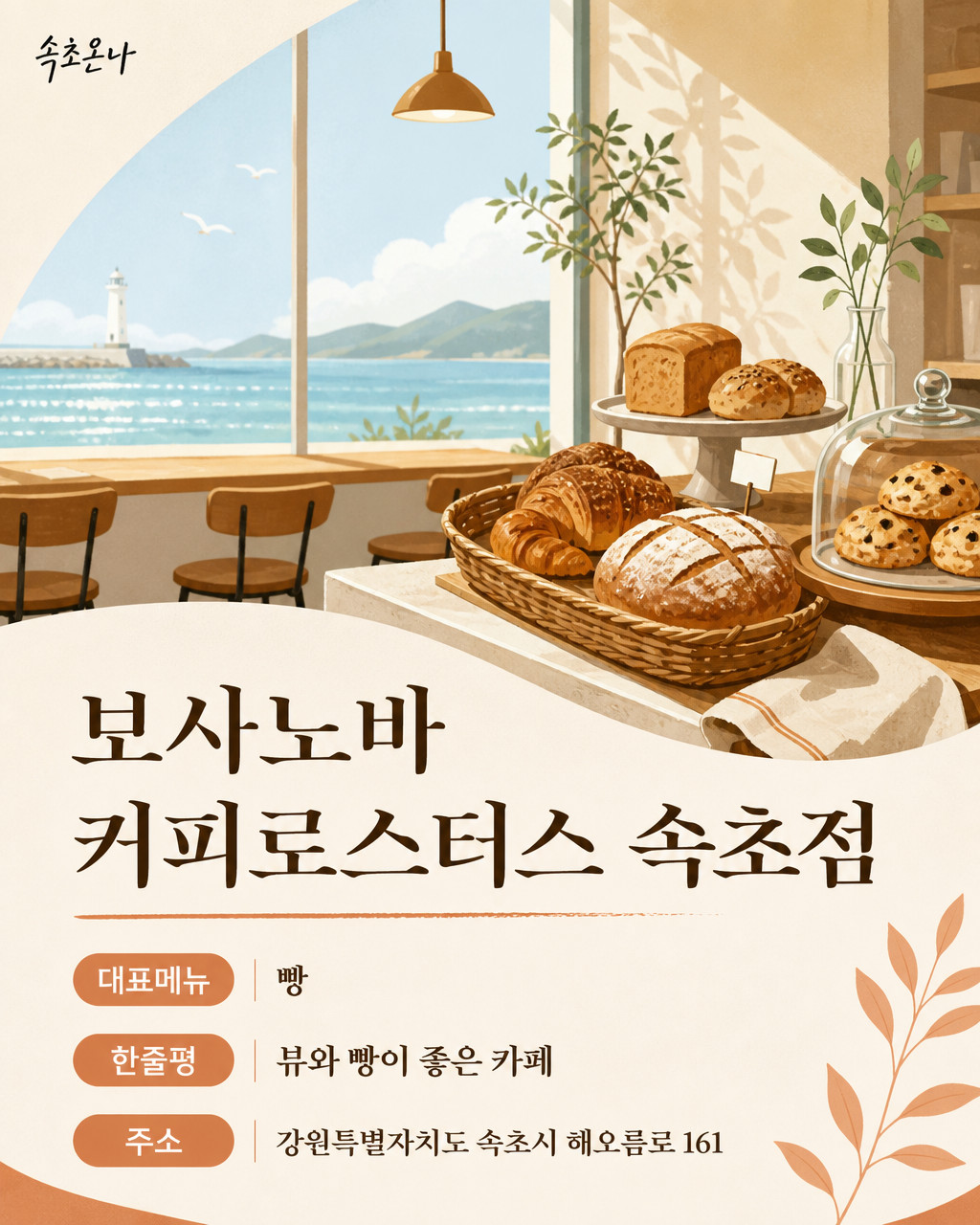 보사노바 커피로스터스 속초점