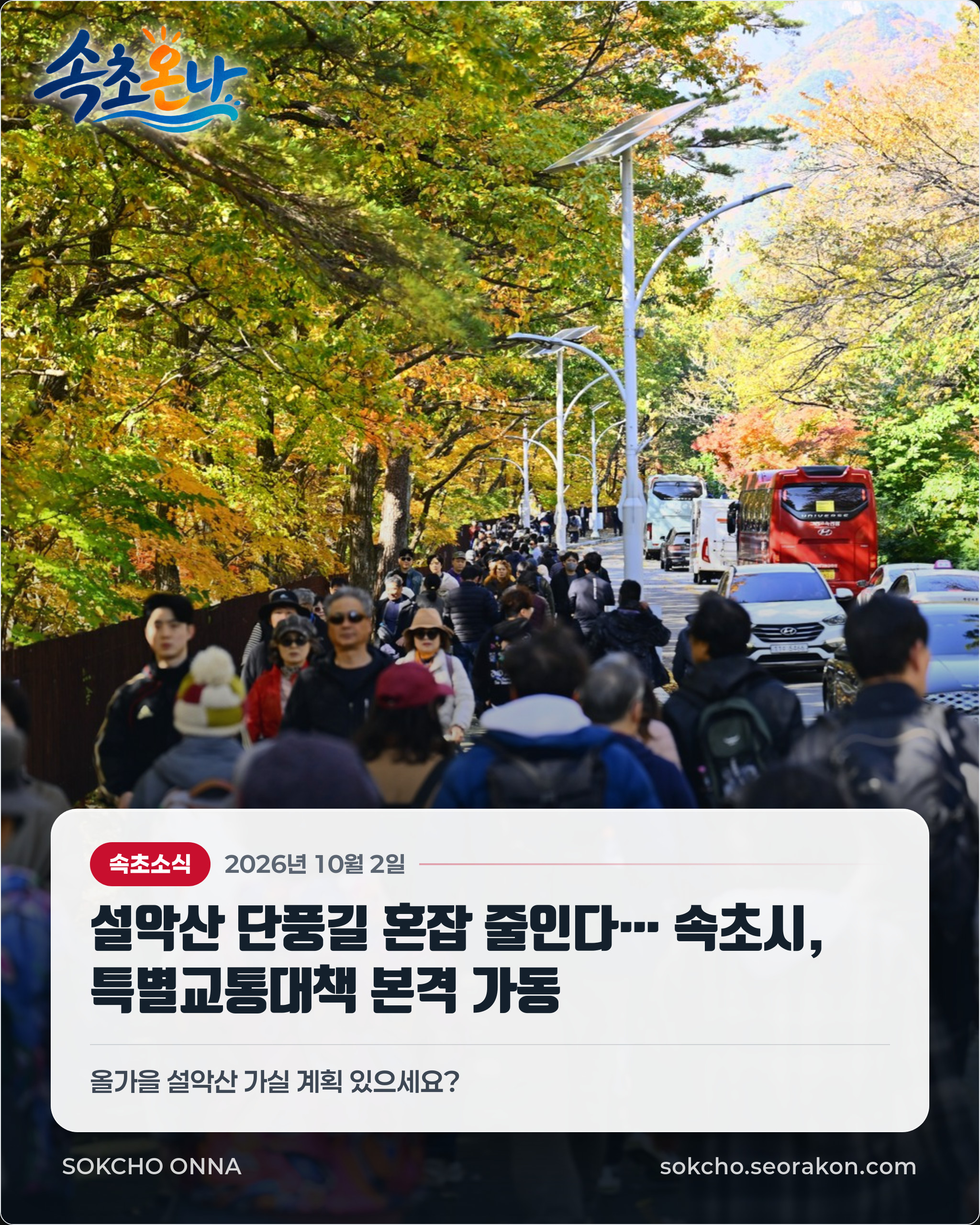 설악산 단풍길 혼잡 줄인다… 속초시, 특별교통대책 본격 가동