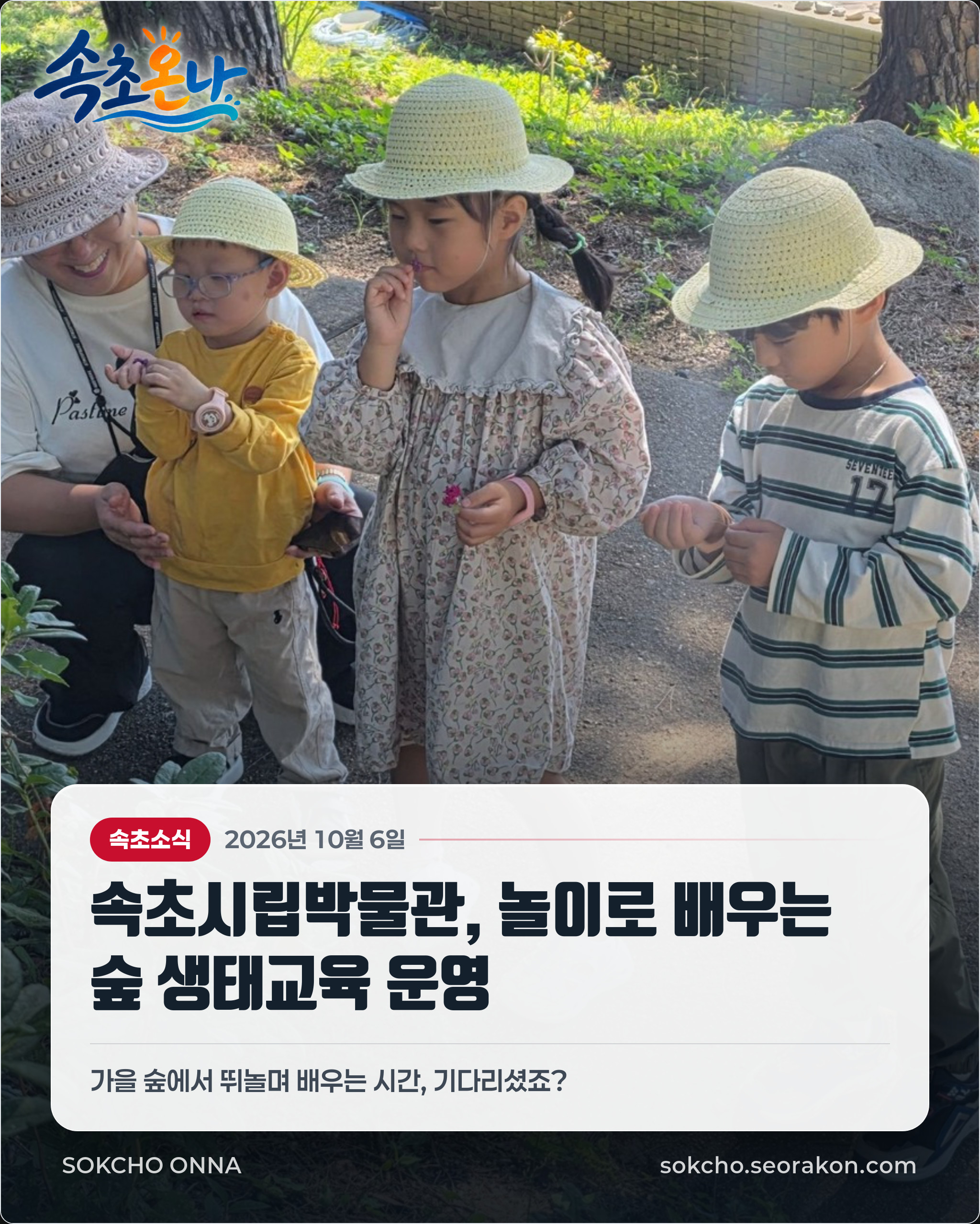 속초시립박물관, 놀이로 배우는 숲 생태교육 운영